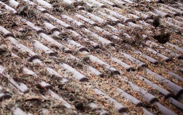 Whipsiderry roof cleaning companies